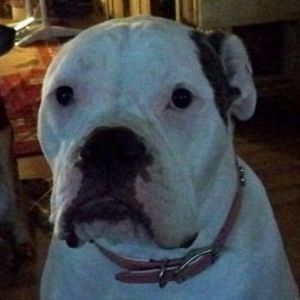 Meet your Posher, Jeff